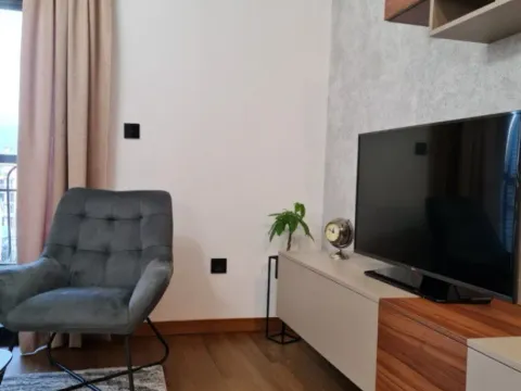 Rent, one bedroom apartment, 50m², Ljubović, Podgorica - image 3