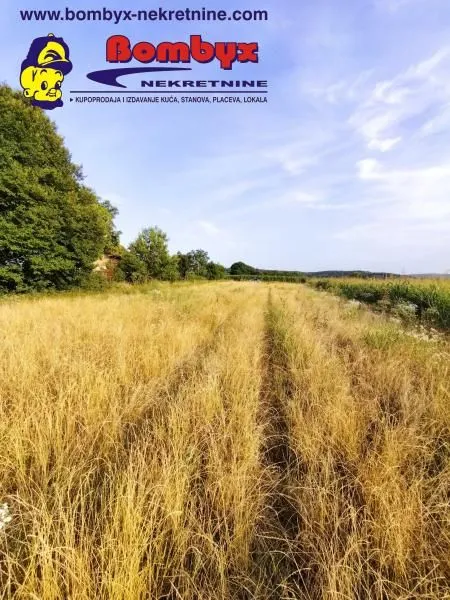 Prodaja, plac, 2700m², Beočin, Srbija