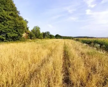Prodaja, plac, 2700m², Beočin, Srbija - image 4