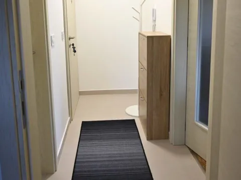 Izdavanje, stan, 50m², Zagorič, Podgorica - image 4