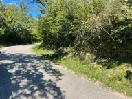 Sale, land lot, 340m², Župci, Bar - image 3