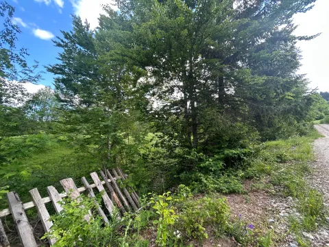 Prodaja, plac, 62500m², Bare, Kolašin - image 4