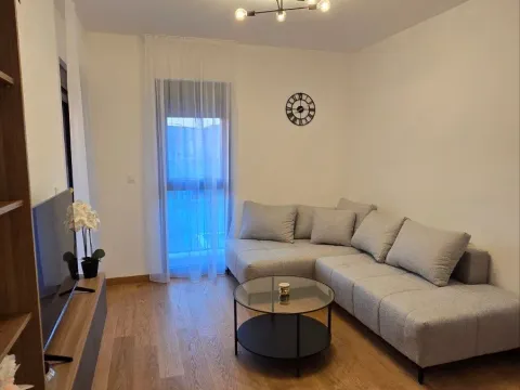 Rent, one bedroom apartment, 45m², Podgorica, Crna Gora - image 3