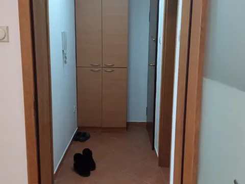 Rent, one bedroom apartment, 43m², Zabjelo, Podgorica - image 4