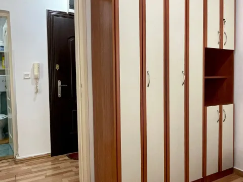 Izdavanje, jednosoban stan, 42m², Budva, Crna Gora - image 6