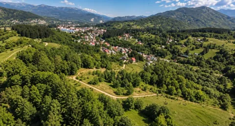 Pogled iz vazduha na šumoviti predio i naselje u podnožju planine. - image 8