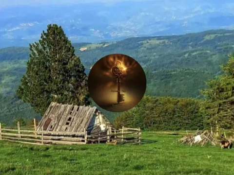 Prodaja, plac, 6000m², Petnjik, Berane - image 1