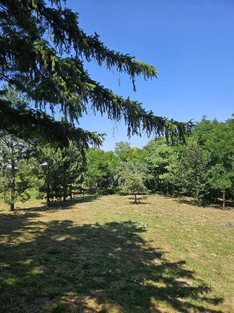 Prodaja, plac, 5000m², Stari Slankamen, Inđija