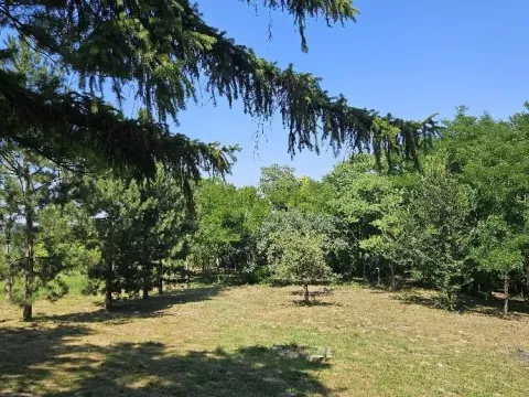 Sale, land lot, 5000m², Stari Slankamen, Inđija - image 5