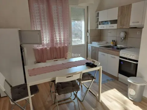 Izdavanje, jednosoban stan, 35m², Centar, Niš - image 3