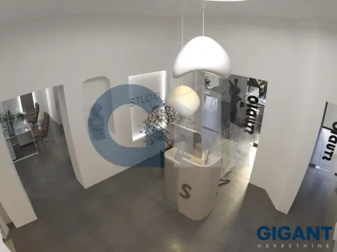 Izdavanje, poslovni prostor, 240m², Stari Grad, Beograd - image 2