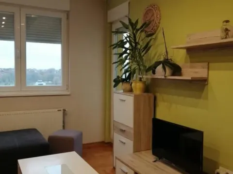 Rent, one bedroom apartment, 45m², Nova Detelinara, Novi Sad Sve Podlokacije - image 5