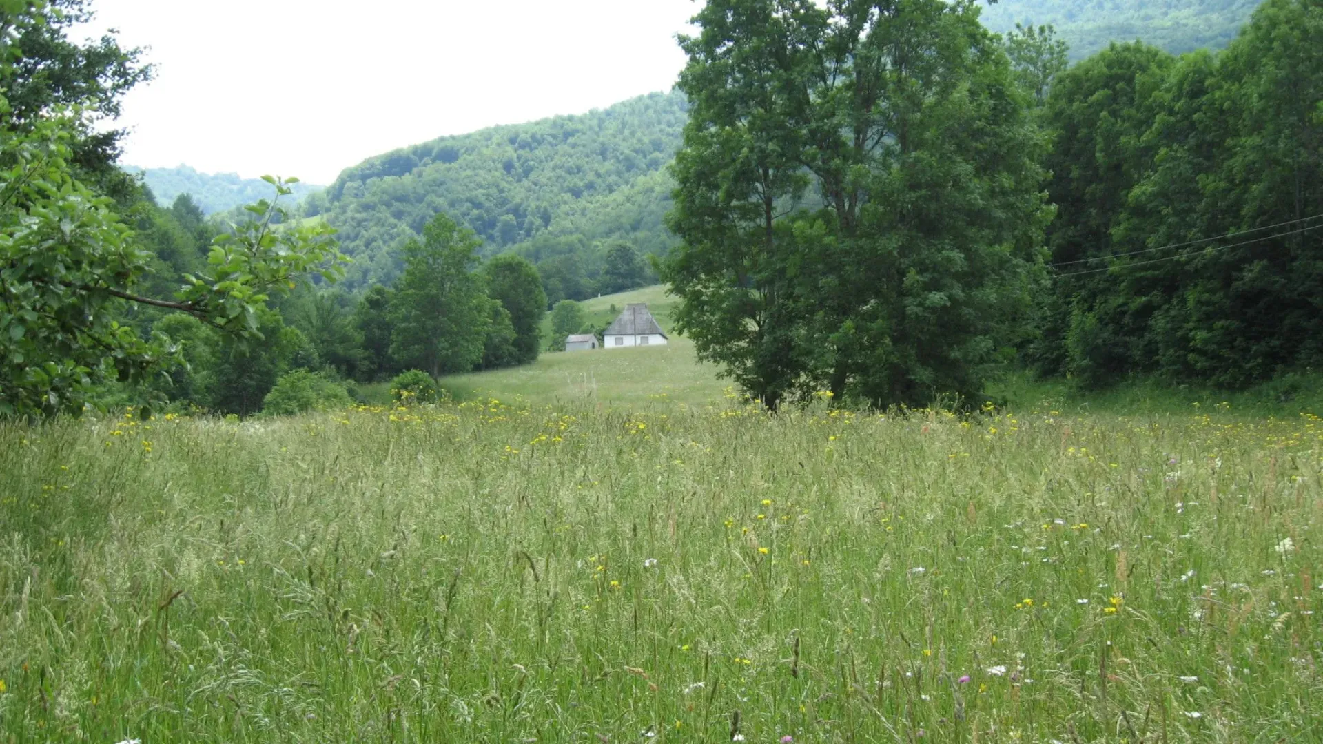 Prodaja, plac, 59723m², Podbišće, Mojkovac