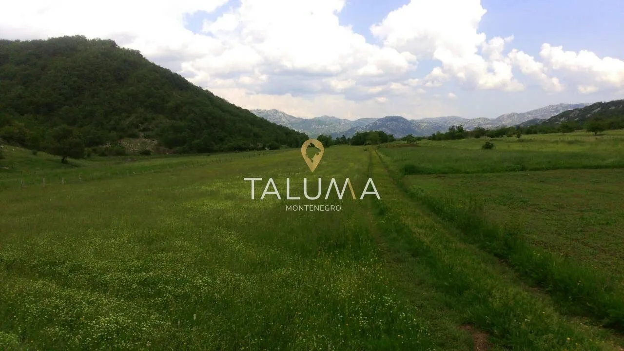 Sale, land lot, 218000m², Grahovo, Nikšić