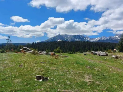 Prodaja, plac, 17500m², Žabljak, Crna Gora - image 2