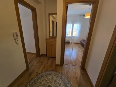 Izdavanje, dvosoban stan, 54m², Zabjelo, Podgorica - image 5