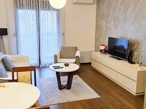 Rent, one bedroom apartment, 48m², Ljubović, Podgorica - image 2