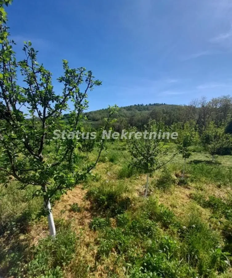 Prodaja, plac, 14715m², Sremski Karlovci, Novi Sad