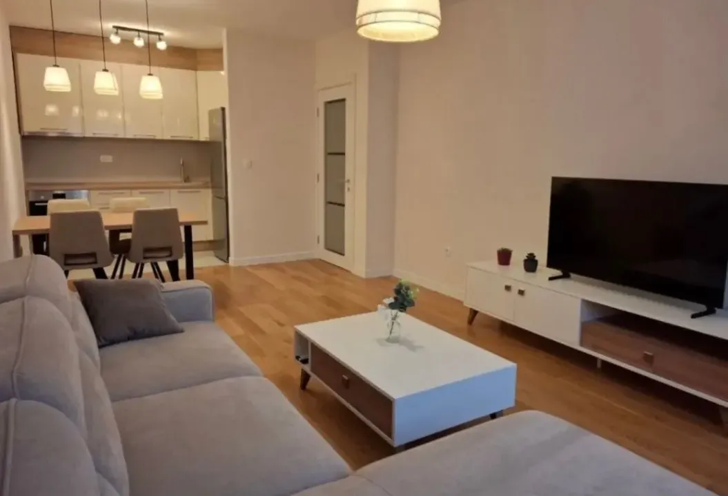 Izdavanje, jednosoban stan, 49m², Central Point, Podgorica