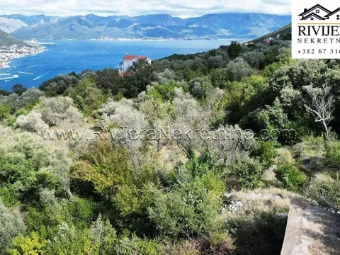 Sale, land lot, 2985m², Zabrđe, Herceg Novi - image 3