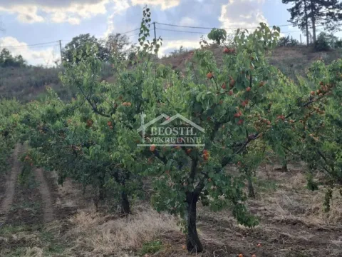 Sale, land lot, 900m², Grocka, Beograd - image 6