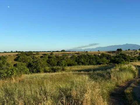 Prodaja, plac, 9500m², Podgorica, Crna Gora - image 6