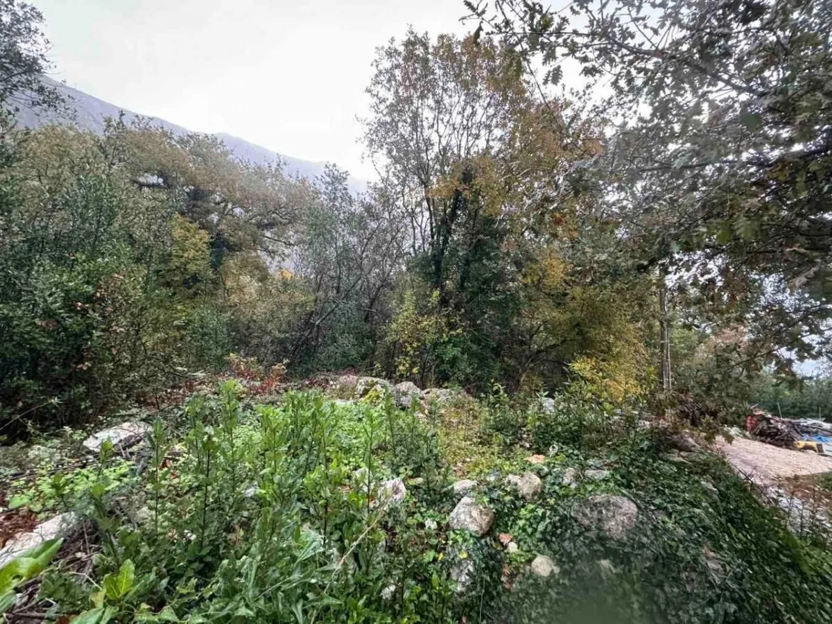 Prodaja, plac, 2800m², Orahovac, Kotor