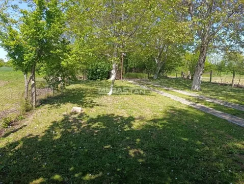Enclosed yard with lawn, trees, and a pathway. - image 3