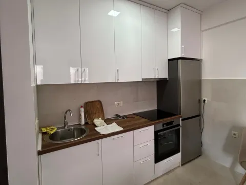 Rent, one bedroom apartment, 45m², Ljubović, Podgorica - image 2