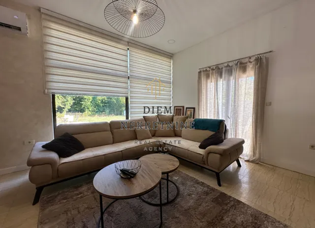 Living room with a sofa and large windows.