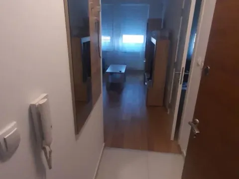 Izdavanje, jednosoban stan, 29m², Rotkvarija, Novi Sad Sve Podlokacije - image 14