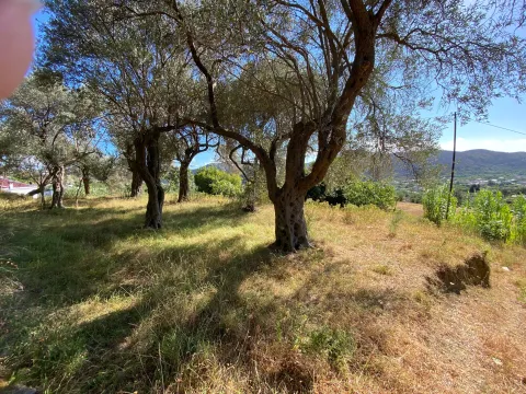 Prodaja, plac, 3770m², Zaljevo, Bar - image 5