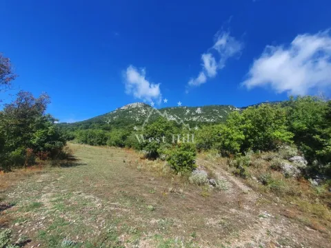 Prodaja, plac, 14000m², Pečurice, Bar - image 4