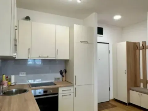 Izdavanje, jednosoban stan, 50m², Stari Aerodrom, Podgorica - image 3