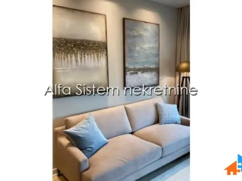 Izdavanje, dvosoban stan, 50m², Novi Beograd Blok 67, Novi Beograd Sve Podlokacije - image 3