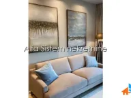 Izdavanje, dvosoban stan, 50m², Novi Beograd Blok 67, Novi Beograd Sve Podlokacije - image 3