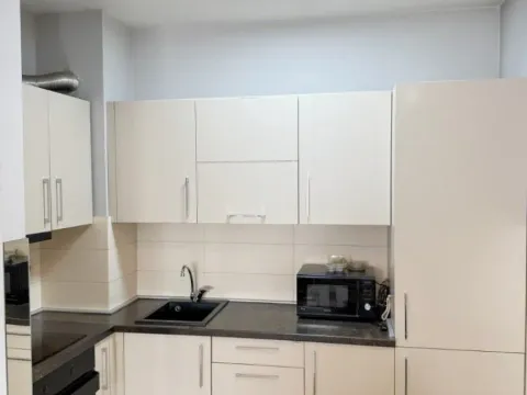 Izdavanje, jednosoban stan, 46m², City Kvart, Podgorica - image 8