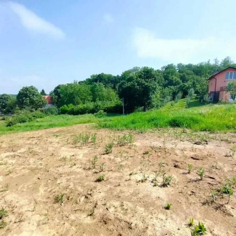 Prodaja, plac, 2400m², Ledinci, Petrovaradin