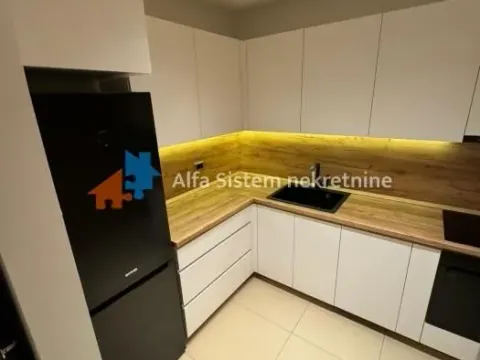 Izdavanje, dvosoban stan, 55m², Savski Venac, Beograd - image 4