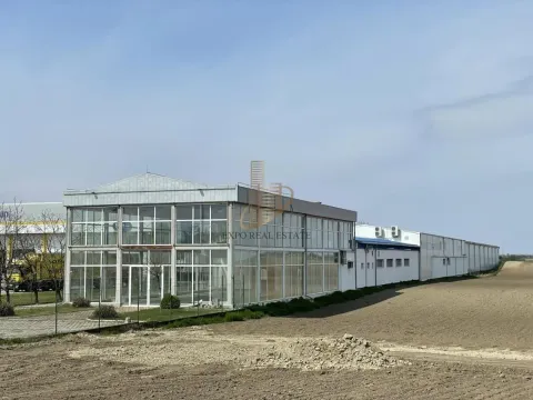 Sale, office space, 1193m², Kać, Novi Sad Sve Podlokacije