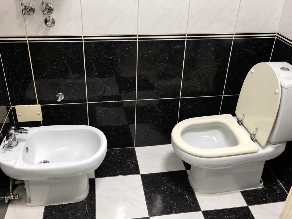Manje kupatilo sa crno-bijelim keramičkim pločicama, šoljom i bideom.