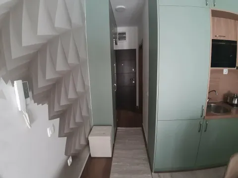 Prodaja, garsonjera, 22m², Dubovica, Budva - image 9