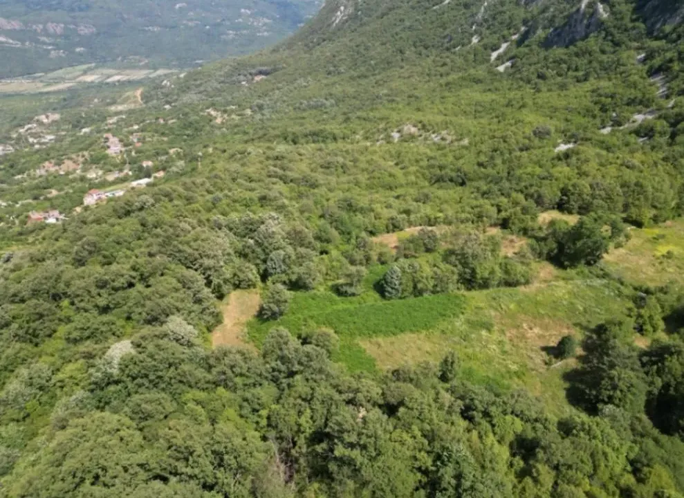 Sale, land lot, 49000m², Gluhi do, Bar