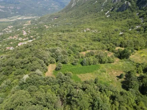 Sale, land lot, 49000m², Gluhi do, Bar