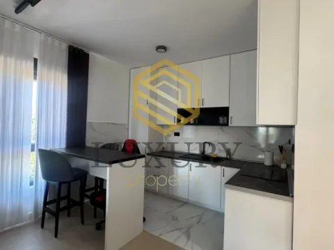 Rent, one bedroom apartment, 53m², Kod Capital Plaze, Podgorica - image 11