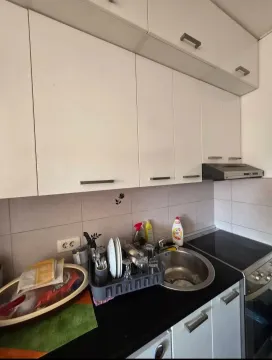 Manja kuhinja sa bijelim elementima, sudoperom i ugradnom pločom. - image 6