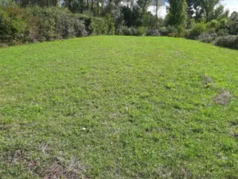 Sale, land lot, 1818m², Ćurilac, Danilovgrad - image 8