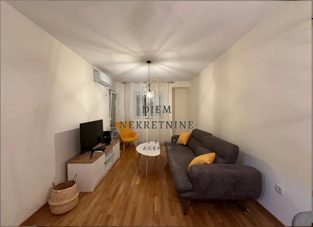 Rent, one bedroom apartment, 47m², Zagorič, Podgorica