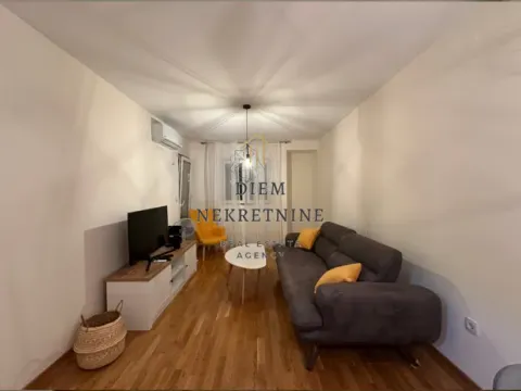 Izdavanje, jednosoban stan, 47m², Zagorič, Podgorica - image 3