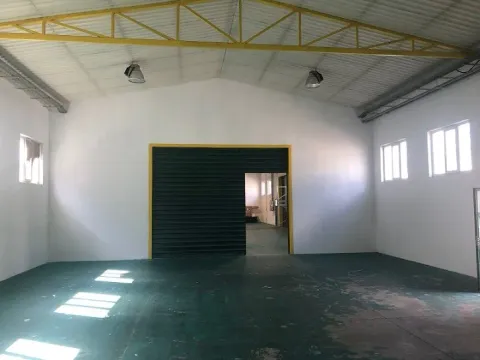 Izdavanje, poslovni prostor, 280m², Zemun Sve Podlokacije, Beograd - image 5